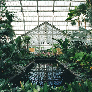 ▇▇▇▇▇▇的英文怎么写
