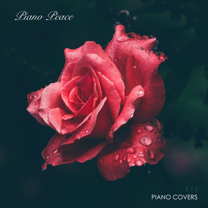 ▇▇▇▇▇▇的英文怎么写
